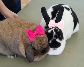 Pet Hair Bows - Dog Bows - Cat Bows - pet accessories