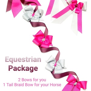 Equestrian Hair Bows - Horse Show Bows - 4&quot; Hair Bows - Horse Bows - Equestrian Bows - Horseback Riding Bows - Equestrian Event Bows