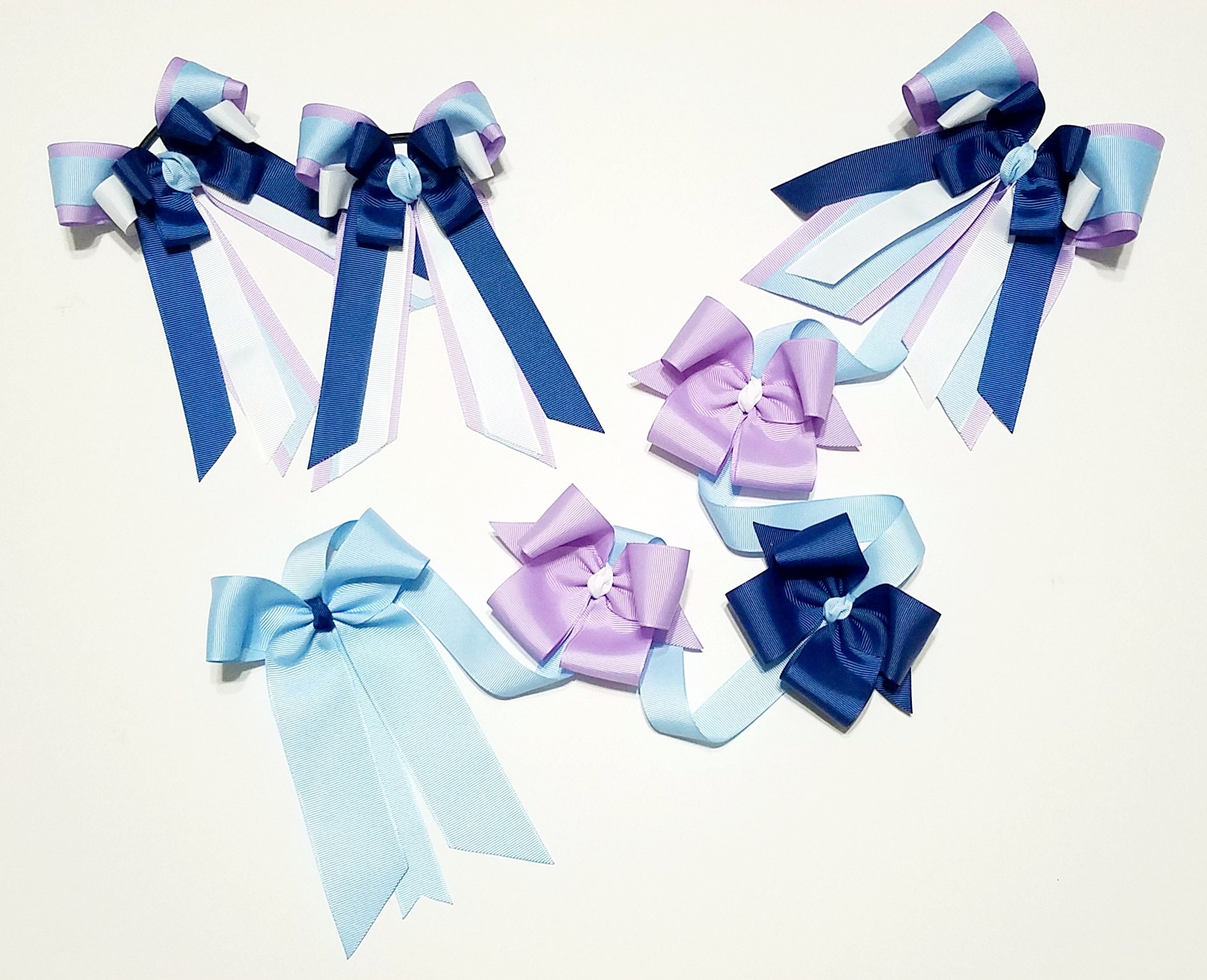 Ensemble D'accessoires équestres Pour Enfants - Arcs De Spectacle Et