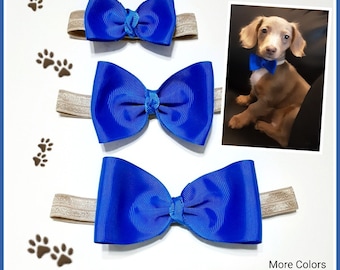 Pet Collar Bow Ties - Puppy Bow Ties - Dog collar - pet collar - Doggy Bows - Dog Bow Ties - Cat Collar - cat necklace - Cat Bow Ties