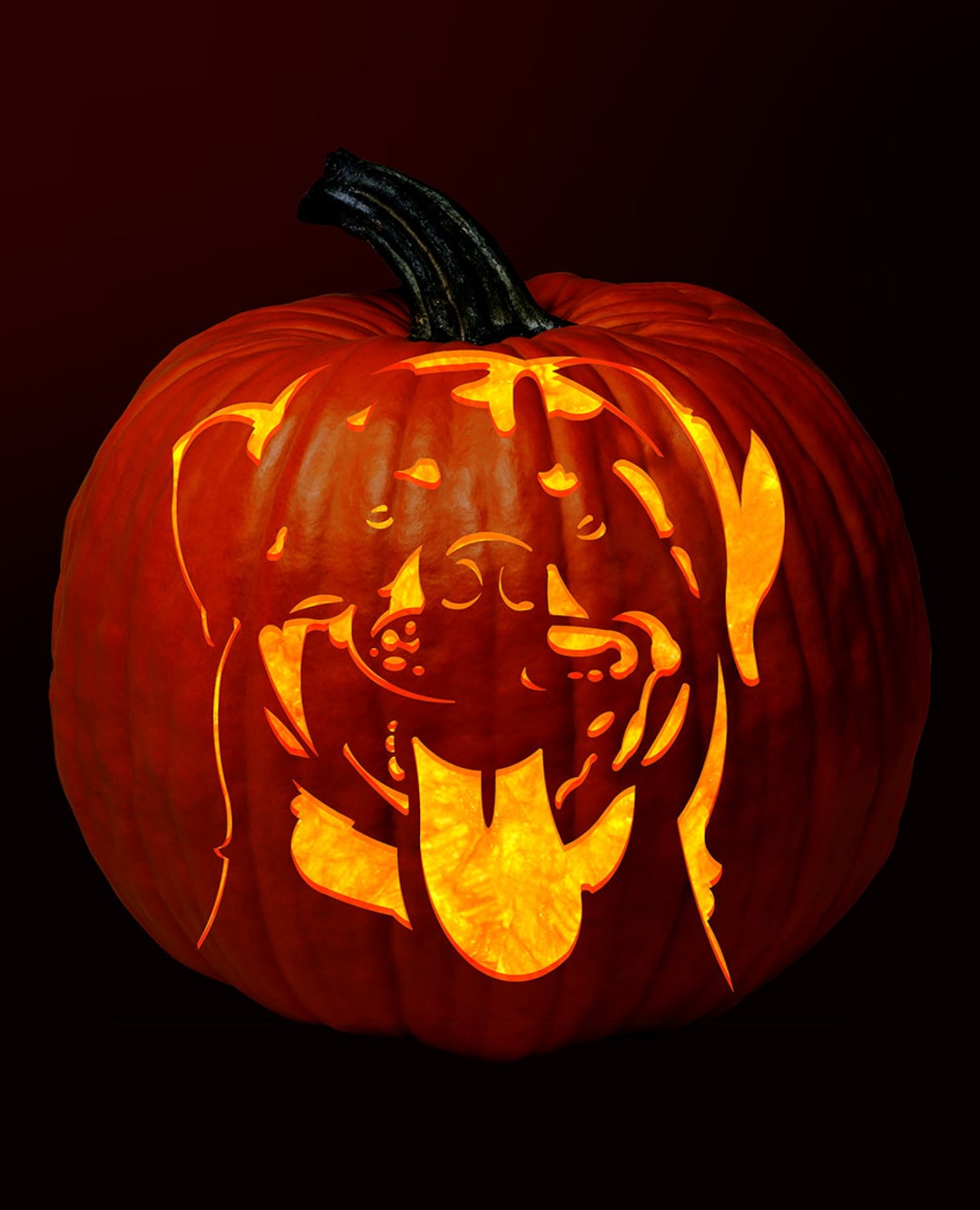 rottweiler-pumpkin-carving-pattern-etsy