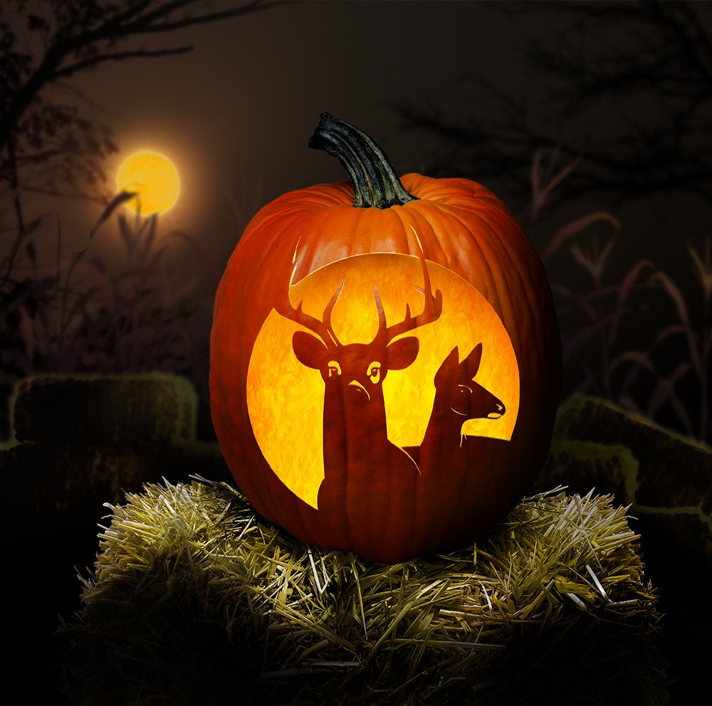 buck-moon-buck-doe-pumpkin-carving-pattern-digital-download-wildlife-collection-etsy