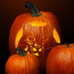Bobcat-carving pattern/stencil instant digital download
