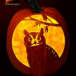 The Great-Owl Printable Digital Download Pattern For Pumpkin Carving.