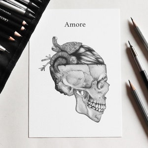 Print &quot;Love&quot; - anatomical illustration of a skull with the heart instead of the brain - metaphor of love - A4, A5, A6 - ENGLISH + ITALIAN