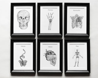 Set di 6 stampe anatomiche con metafore - disegni anatomici a matita per composizione di cornici in stile anatomia vintage - A6, A5, A4