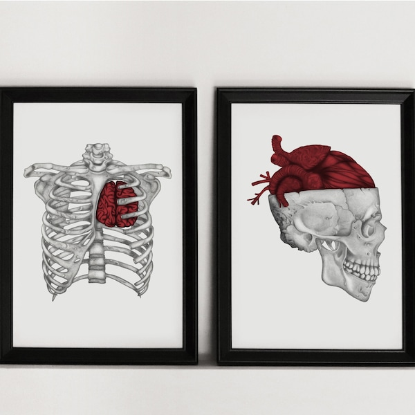 HEART + BRAIN anatomy duo prints set - set of 2 anatomical illustrations with metaphor about the fight between heart and mind - A3/A4/A5/A6