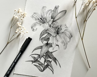 Lillies - original fine line ink drawing of a lily flower branch - unique handmade art piece