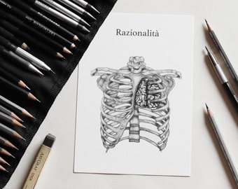 Stampa "Razionalità" - illustrazione anatomica di gabbia toracica con cervello - metafora razionalità -A4,A5,A6- ITALIANO + INGLESE