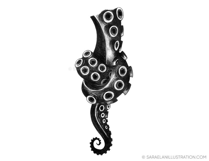 Print Knot illustration of an octopus tentacle with a knot black and white ballpoint pen drawing art print A5, A6 image 10