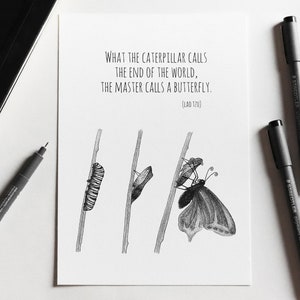 Caterpillar to butterfly transformation with quote about end of world - illustration print of animal with motivational quote metaphor - A5