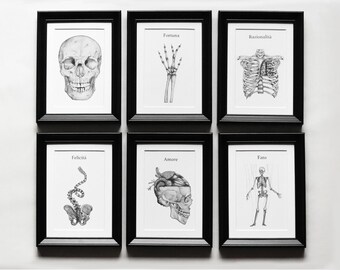 May include: Six black-framed prints featuring anatomical illustrations on white backgrounds. The images depict a human skull, a hand, a rib cage, a spine, a heart inside a skull, and a full skeleton, with the labels Fortuna, Razionalità, Felicità, Amore, and Fato.