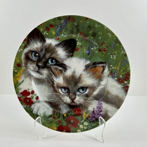 Vintage Siamese Kittens Collectible Plate: St Martin Email de Limoges