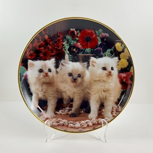 Vintage 1990s The Franklin Mint - Heirloom Recommendation - Felines And Flowers Limited Edition Collectible Porcelain Plate