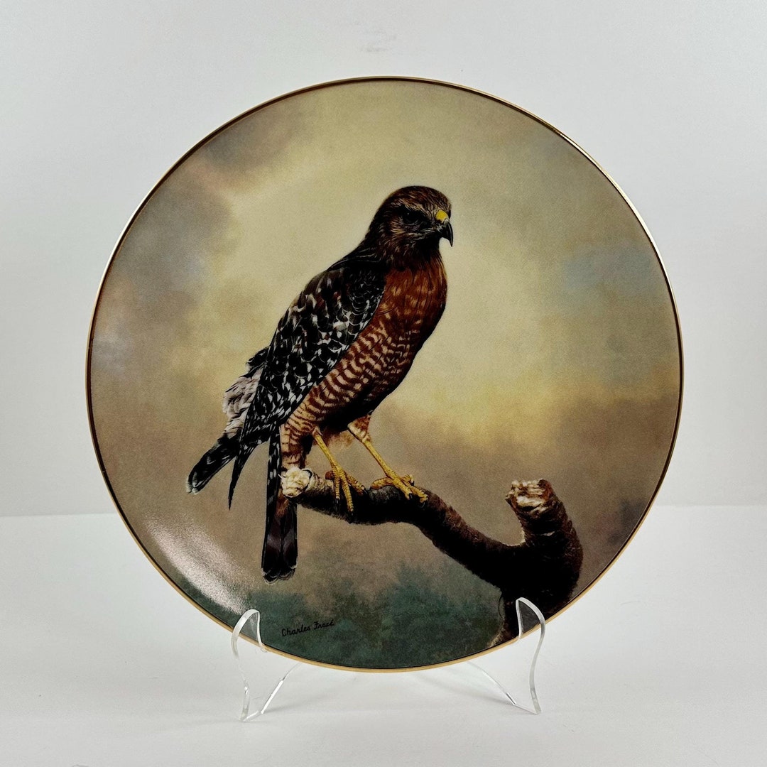 Hawk Plate Vintage 1991 Red Shouldered Hawk Collectible Plate: Soaring Majesty - Etsy