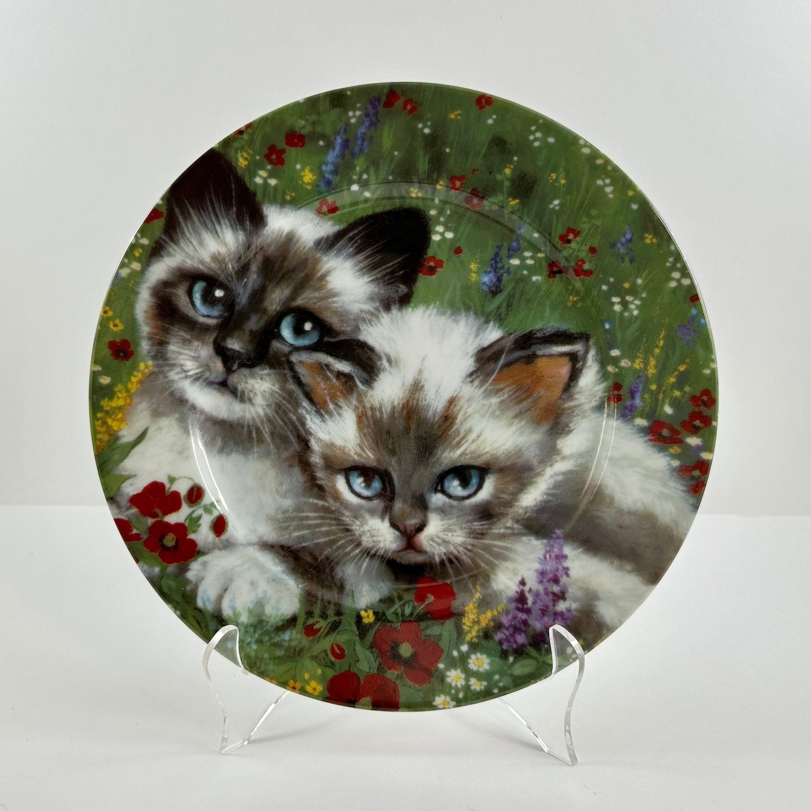 【CPGN】Cats Ribbon 半袖T 2色 Pet Bow Tie - 