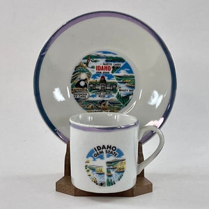 Vintage 1970s - Idaho Gem State Souvenir Cup & Saucer