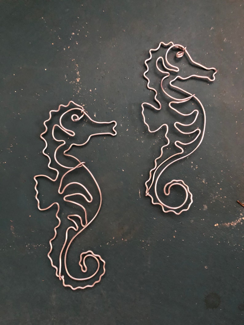 Seahorses for eva