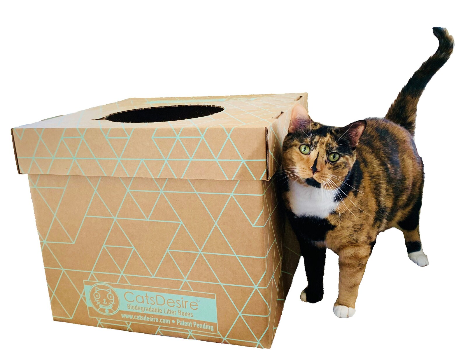 Disposable Biodegradable Cat Litter Box 9 PC Three Sets Total. Etsy