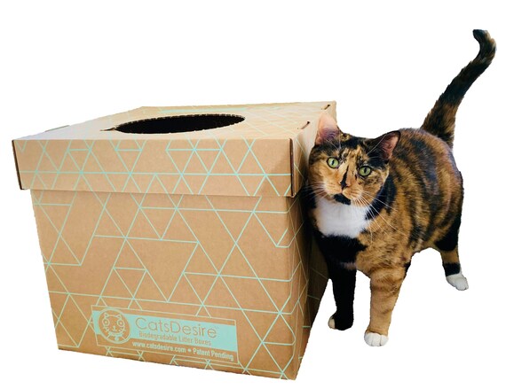 biodegradable cat litter box