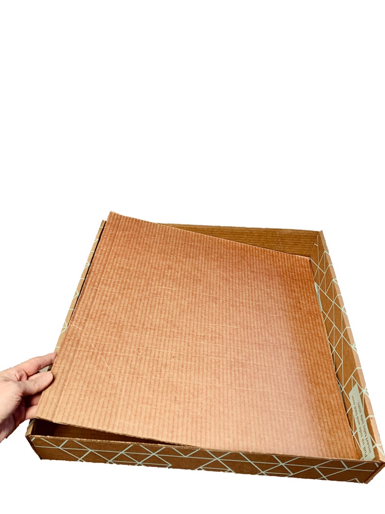 Disposable Biodegradable Cat Litter Box 9 PC Three Sets Total. Etsy