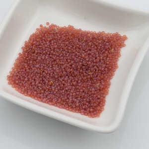 Vintage French Seed Bead 13/0 Transparent Light Rose Opal 15g 10807005