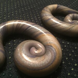 Silver Snail Spiral Gauged Earrings- 00g
