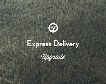 Express FedEx Delivery Upgrade to the USA