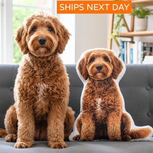 May include: A fluffy golden-brown dog sitting upright next to a custom-shaped throw pillow featuring a high-resolution photographic print of the same dog breed in an identical sitting pose, both positioned on a gray upholstered sofa.