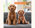 Custom 3D Pet Pillow : Personalized Dog, Cat or Any Photo Personalized Plush Pet Lover Gift Memorial Pillow