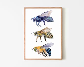 Watercolor Bee Print: Entomology Art, Nature Study