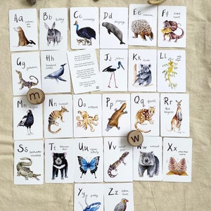 NEW -Flash cards, Australian animal flash card, montessori flash card