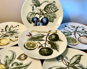シューマンババリア果物フルーツ柄プレート6枚セット