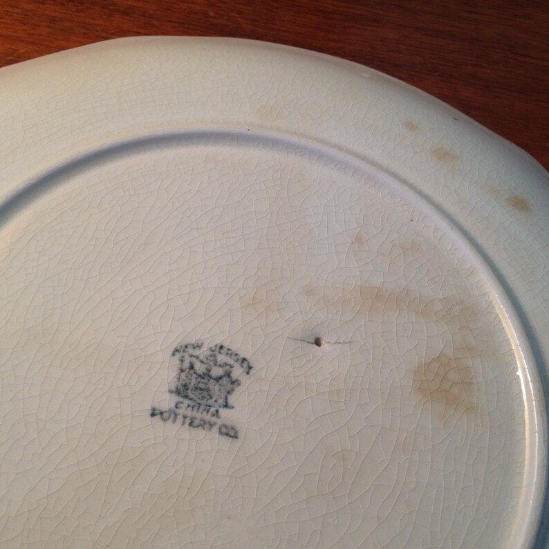 Vintage Rare New Jersey China Pottery Company Plate From the Etsy