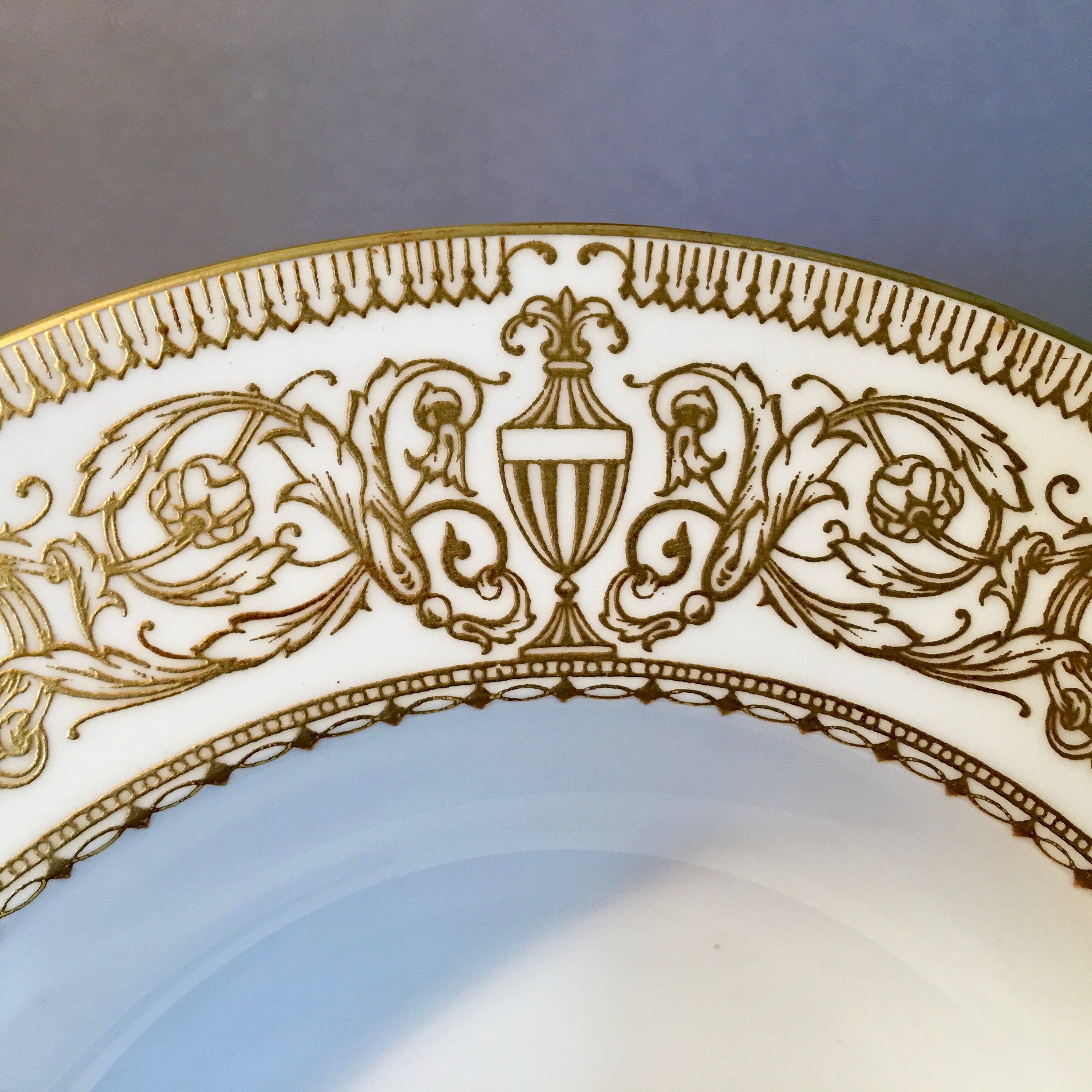 希少 ロイヤルウースター Royal Worcester Hyde Park Rimmed Soup Bowl