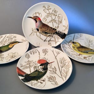 May include: A set of four white ceramic plates featuring detailed illustrations of various birds and botanical line drawings. Each plate displays a unique bird species in natural colors, accented by brown ink-style floral and plant motifs.
