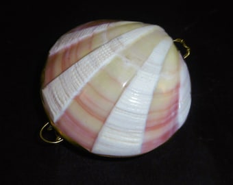 Gorgeous carved and polished shell purse.