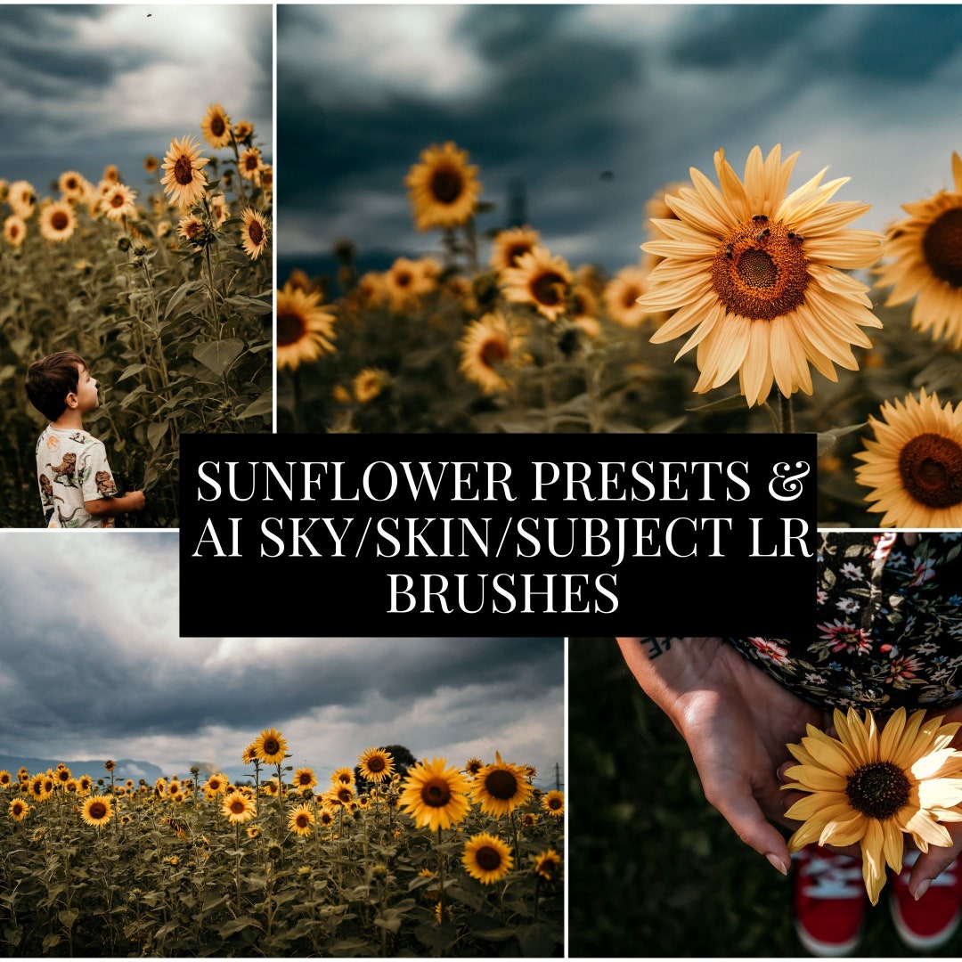 Bold Presets Lightroom Brushes Ai Preset Lightroom CC Brush Lightroom