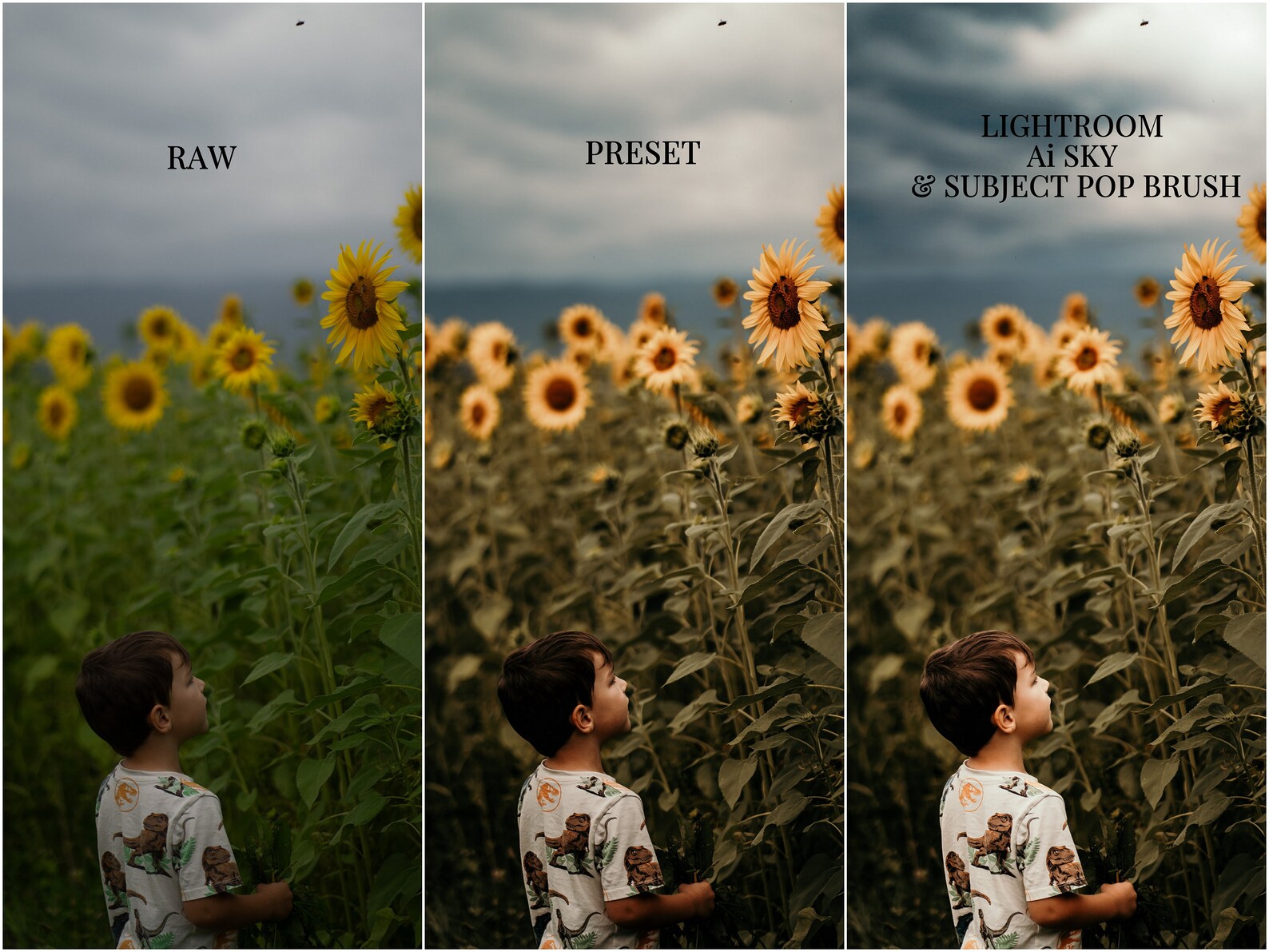 Ai LIGHTROOM BRUSHES Sunflare Brush Sunset Lightroom Brush Preset