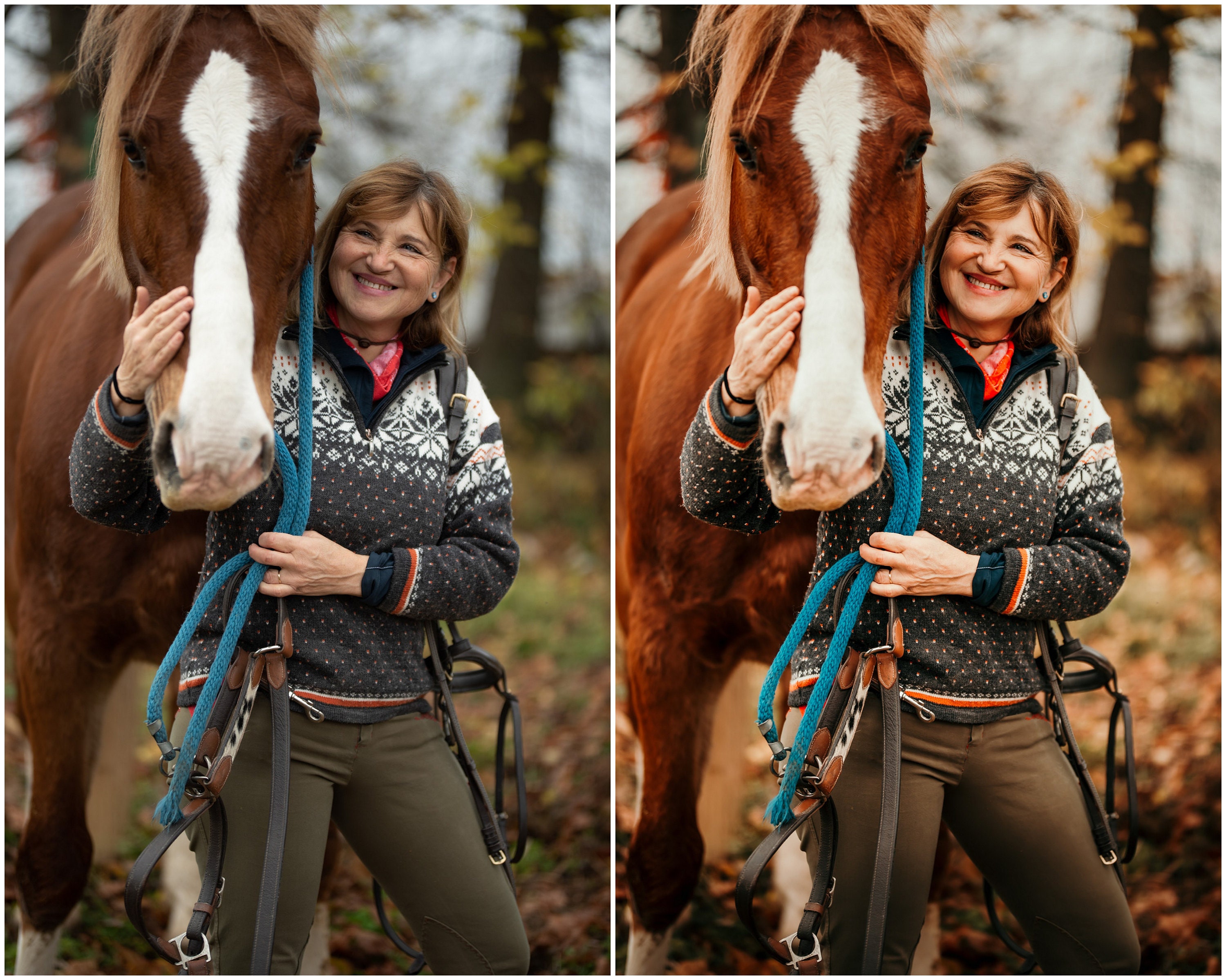 Equine Lightroom Presets | Warm Horse Photography (desktop & Mobile) - Etsy