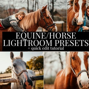 Equine Lightroom presets Horse Preset for Lightroom equestrian preset warm preset Lightroom Desktop presets Mobile Horse photography preset