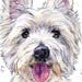 Dog clipart Westie clipart instant download. Digital animal clipart graphic art. Commercial PNG. Printable art. West highland white clip art