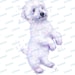 Dog clipart Bichon frise clipart dog clip art Instant download. Printable art Digital download Watercolor clipart PNG Commercial Cute puppy