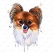 Dog clipart Papillon dog digital art printable instant download Digital watercolor clipart Watercolour PNG commercial clip art