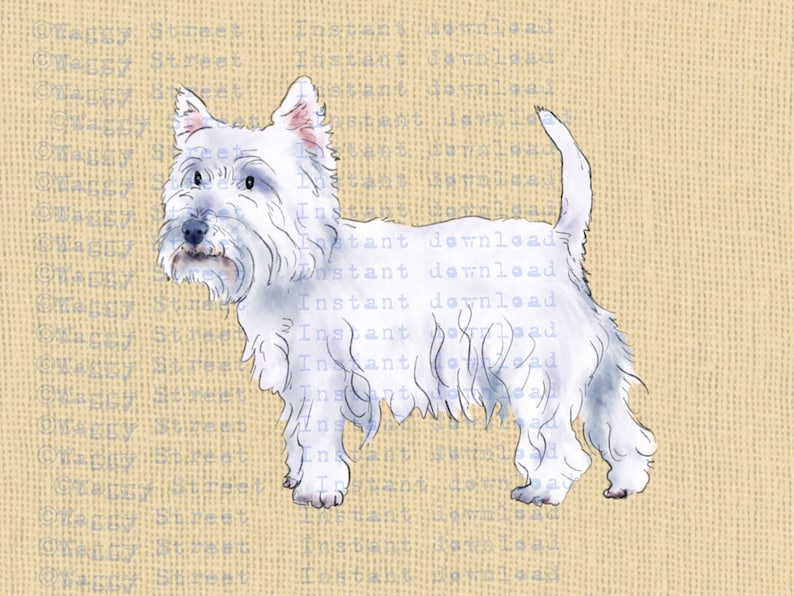 Dog breeds Printable dog breed clip art Westie dog clipart watercolor download graphics West highland white. PNG Transparent Commercial