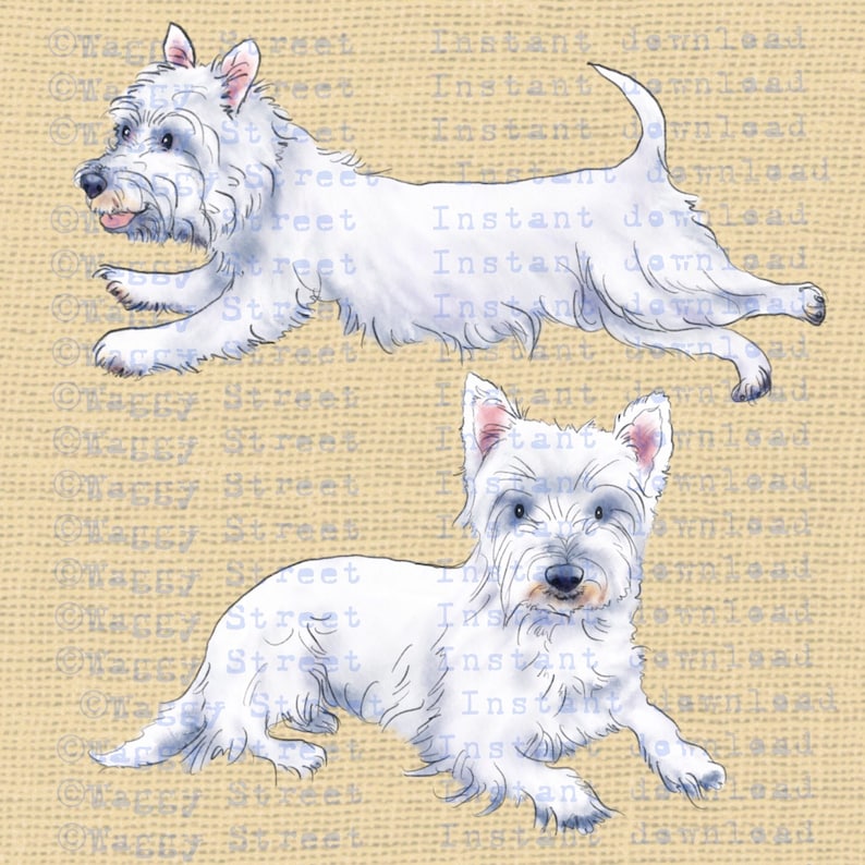 Download Westie dog clipart watercolor download graphics. Dog ...