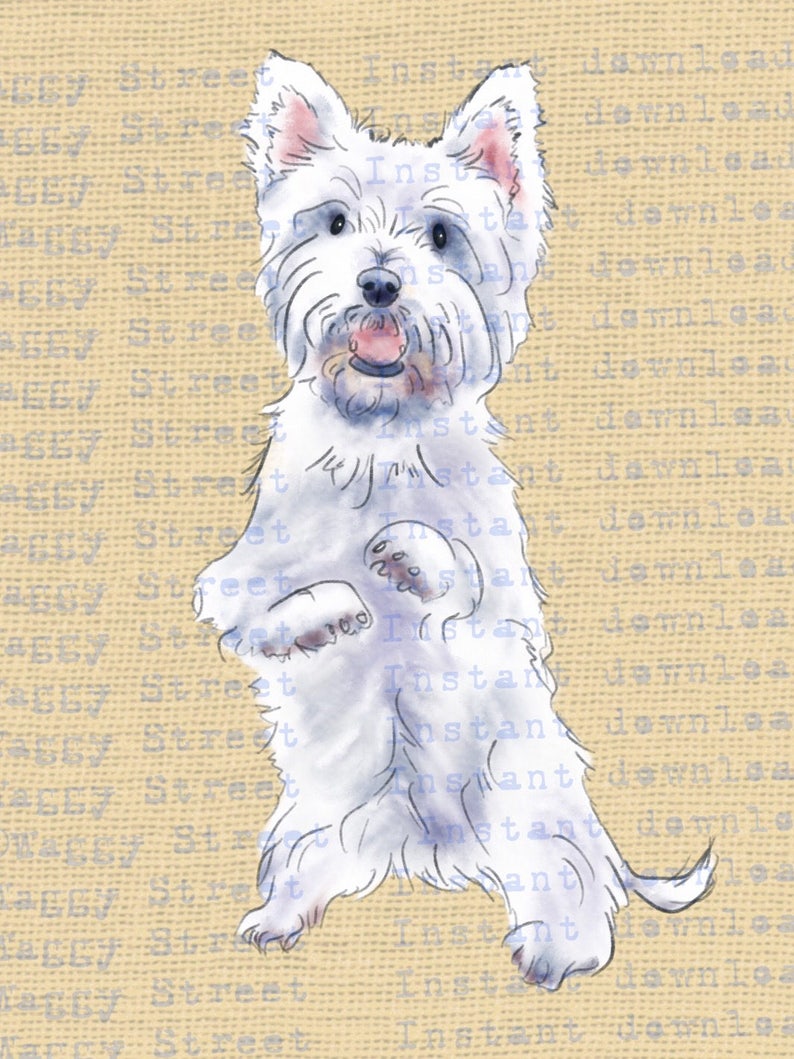 Dog breeds Printable dog breed clip art Westie dog clipart watercolor download graphics West highland white. PNG Transparent Commercial