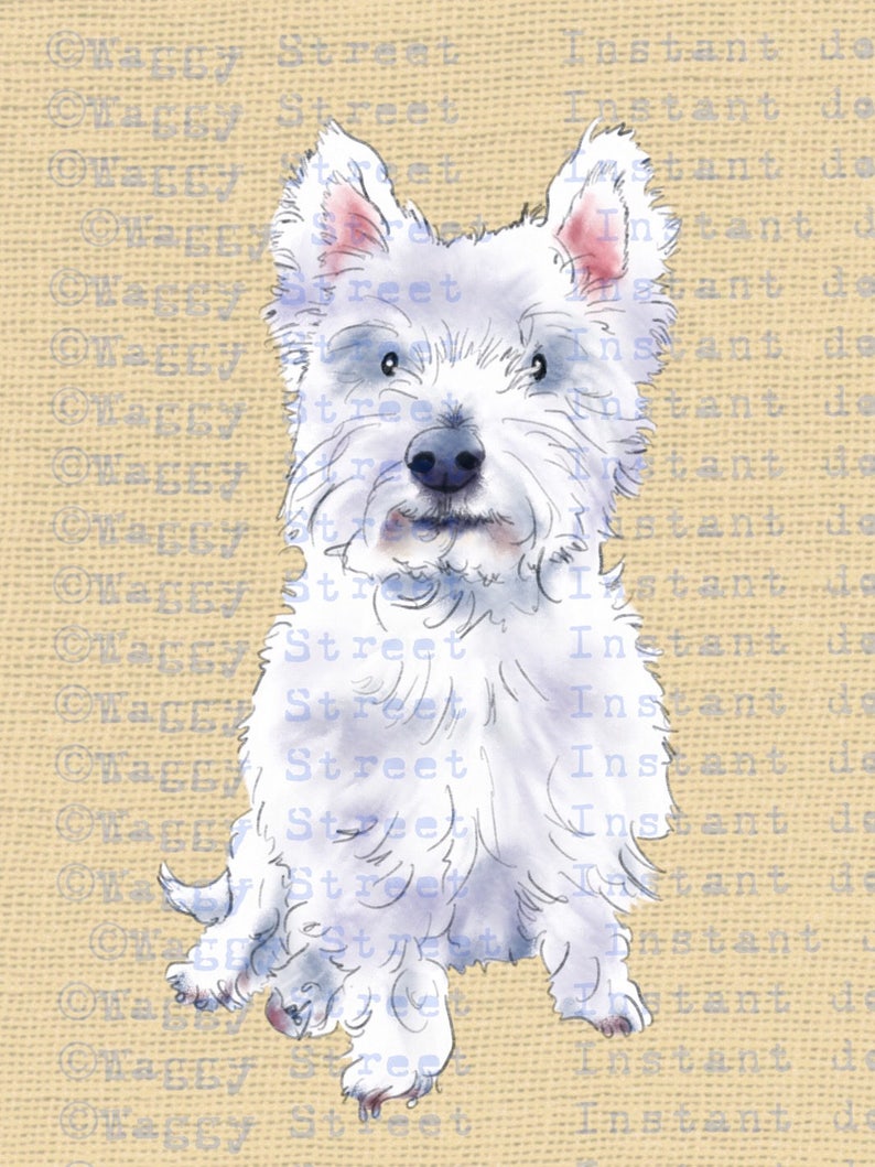 Download Westie dog clipart watercolor download graphics. Dog ...