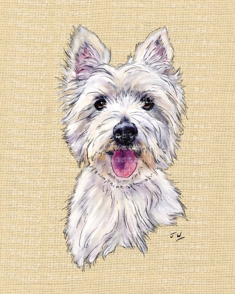 West highland white clip art Dog clipart Westie clipart instant