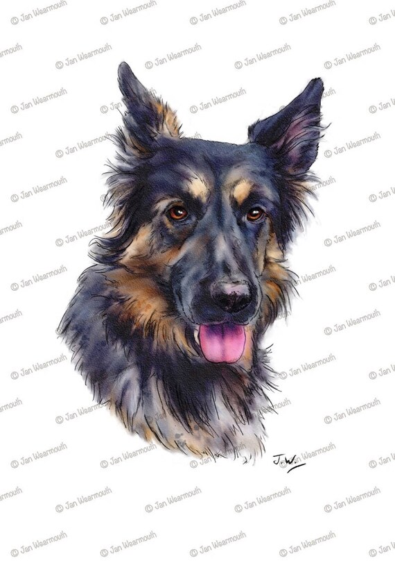 german shepherd pen